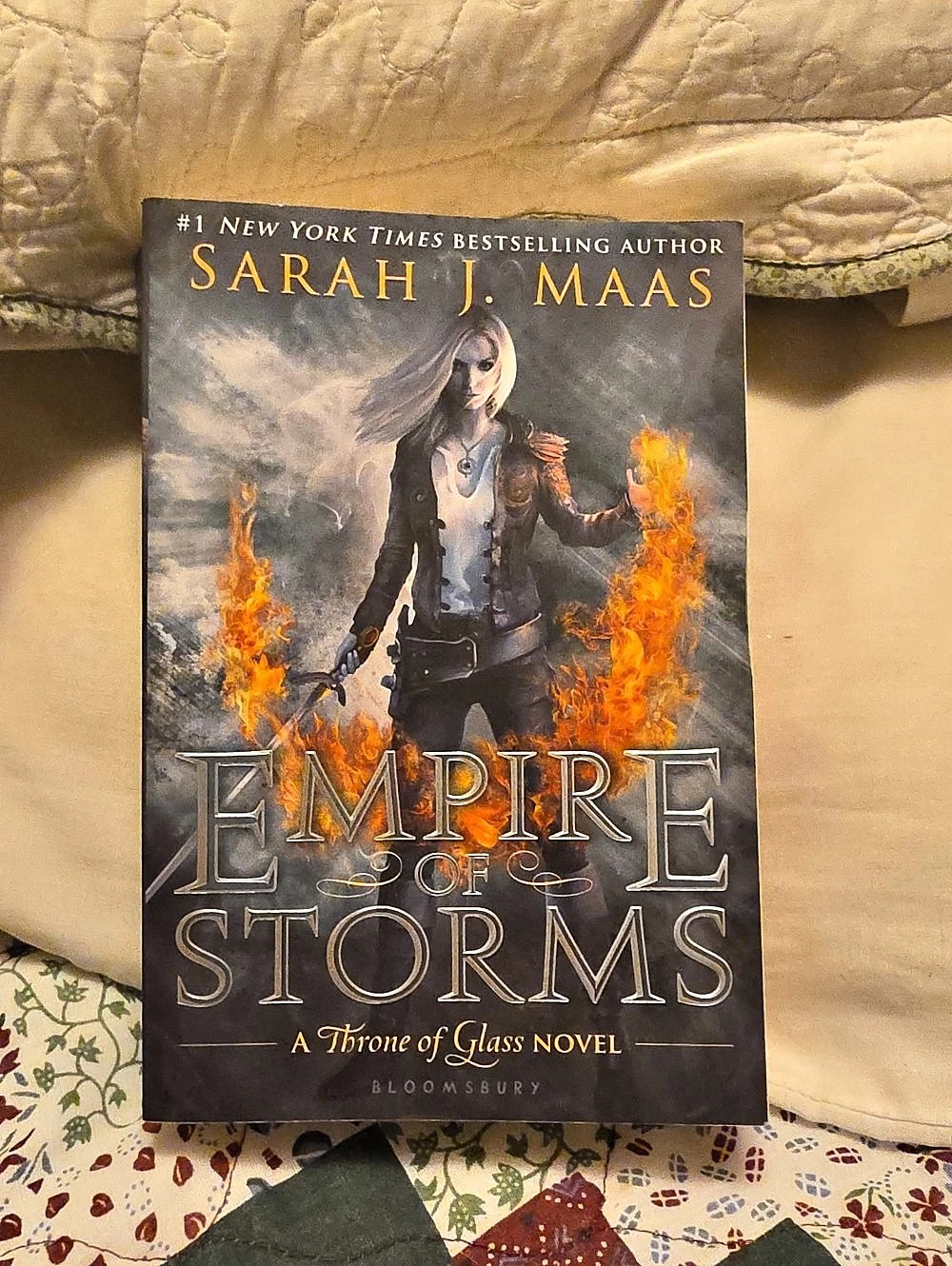 Empire of Storms Paperback Novel By Sarah J Maas (Out Of Print Original Cover)